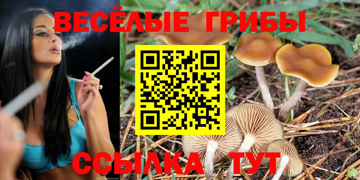 Псилоцибиновые грибы ЛСД Семилуки